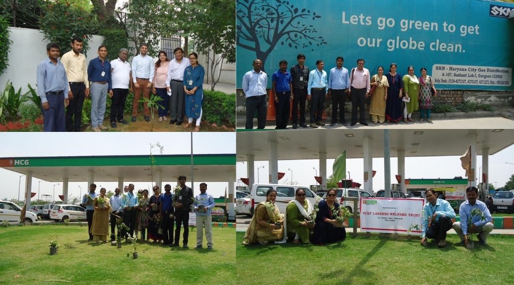Green Drive in association with NGO Saambhavi 2019