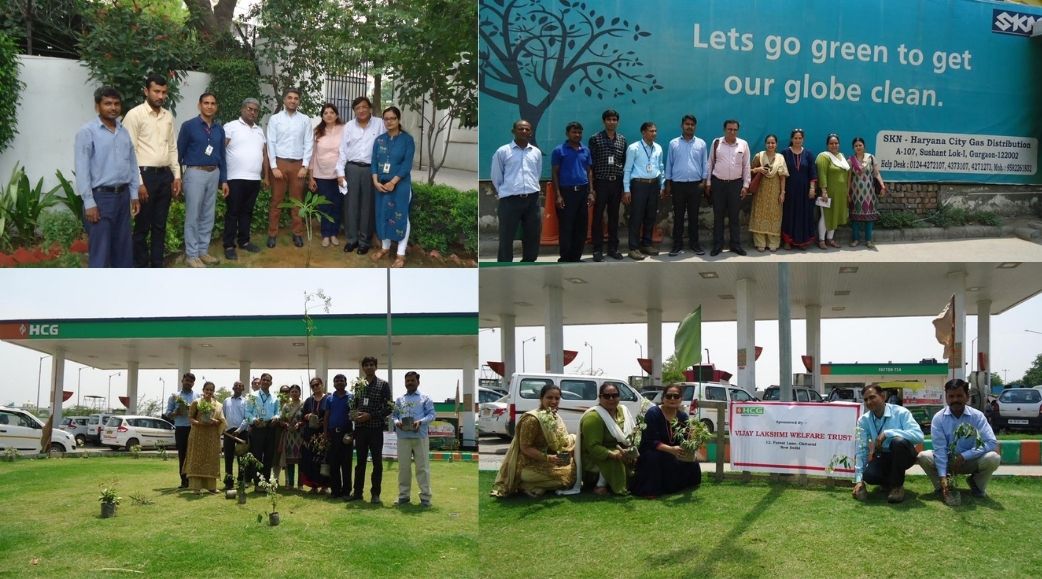 Green Drive in association with NGO Saambhavi, 2019